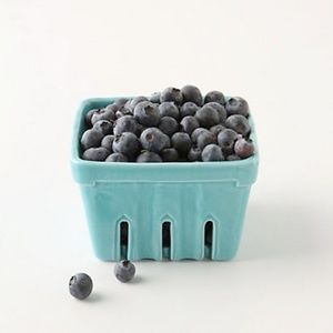 ISO Anthropologie Farmers Market Berry Basket